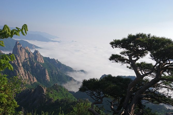One-Day Tour for stunning Mt.Seoraksan from Seoul - Sinheungsa Temple brings a quieter pause