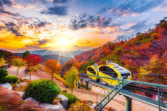 Pocheon Art Valley, Garden & Fruit Picking Day Tour from Seoul - Why this makes a practical Seoul day trip