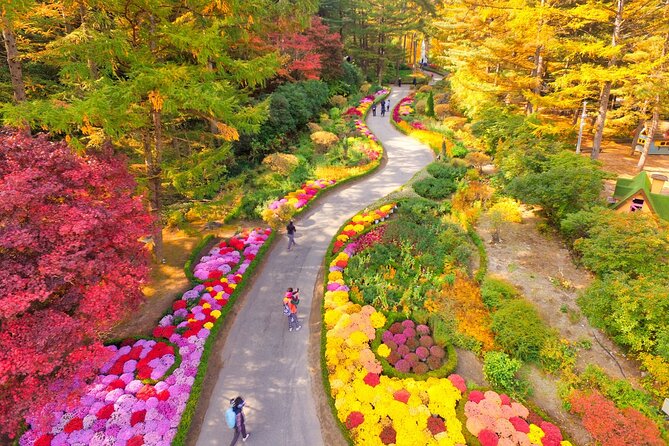 Pocheon Art Valley, Garden & Fruit Picking Day Tour from Seoul - What happens on the winter version