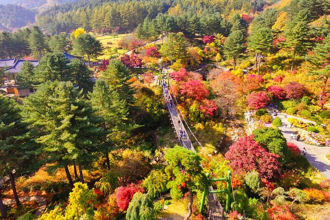 Pocheon Art Valley, Garden & Fruit Picking Day Tour from Seoul - The guide and the pace of the day