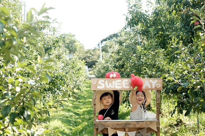 Pocheon Art Valley, Garden & Fruit Picking Day Tour from Seoul - Who should book this experience