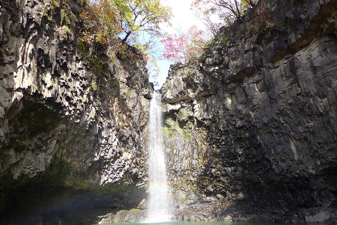 Pocheon Private Day Tour from Seoul - Herb Island and the lighter final stop