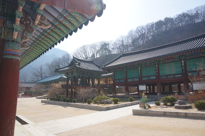 [Premium Private Tour] Mt Seorak & East Sea or Nami island from Seoul - Nami Island is the alternative, not an extra stop