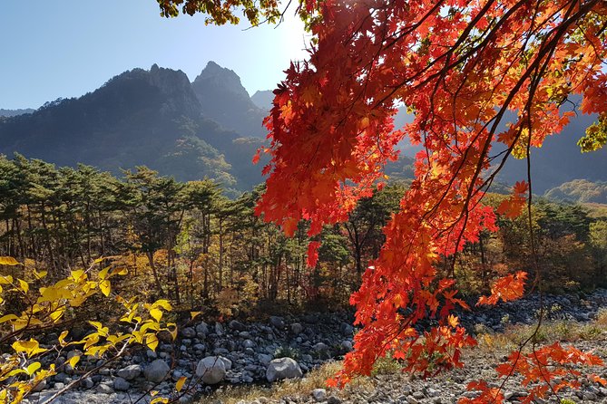 [Premium Private Tour] Mt Seorak & East Sea or Nami island from Seoul - A private van makes the long day easier