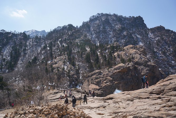 [Premium Private Tour] Mt Seorak & East Sea or Nami island from Seoul - What the $258 price really buys you