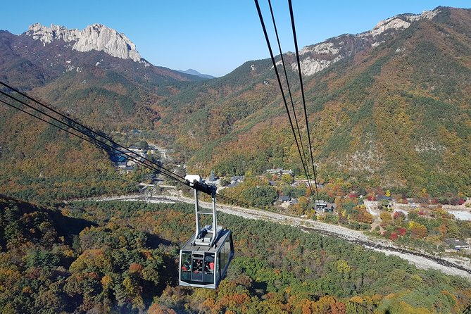 [Premium Private Tour] Mt Seorak & East Sea or Nami island from Seoul - Sinheungsa Temple brings a quieter rhythm