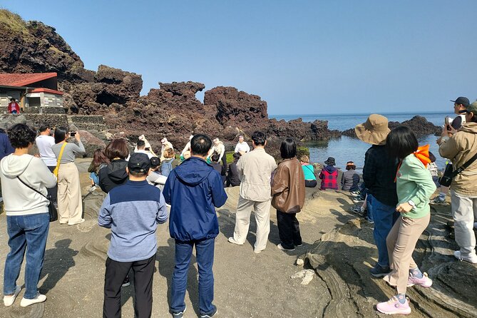Private 2Days Tour Best Jeju attraction place in Jeju island - Western Jeju: tea, wind, and long coastal views