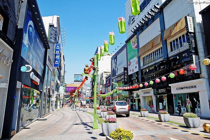 Private Busan tour with gamcheon culture village and the temple (Customizable) - What the guides add to the experience