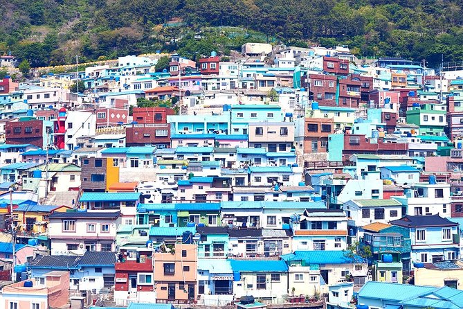 Private Busan Tour with hidden gem of Busan by Local Guide - Busan Tower and Yongdusan Park frame the downtown visit