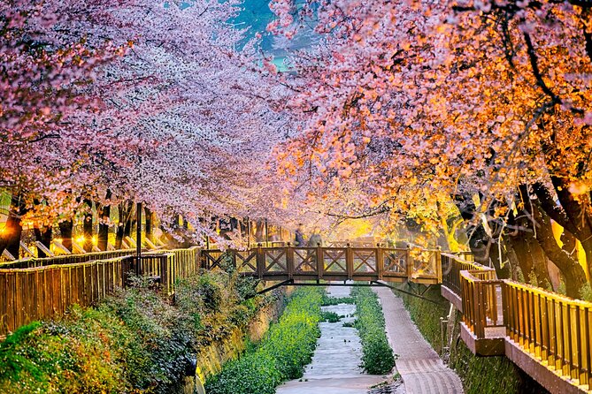 Private Custom Tour With a Local Guide in Busan - A private start in the Busan neighborhood around you
