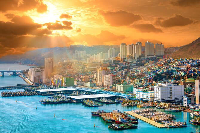 Private Custom Tour With a Local Guide in Busan - The guides who shape the experience