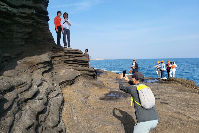 Private Day tour East & south & west of All area in jeju island - Jeju Stone Park and the island’s stone culture
