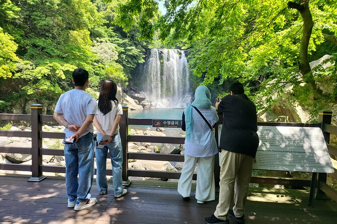 Private Day tour East & south & west of All area in jeju island - Woljeongri Beach and the eastern coast