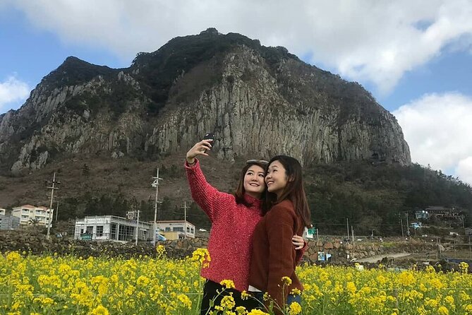 Private Day Tour in South and West in Jeju Island - Windmills along Sinchang Coastal Road