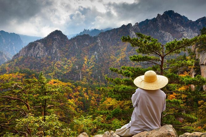 Private Day Trip to Seoraksan National Park - Key points to know before you book
