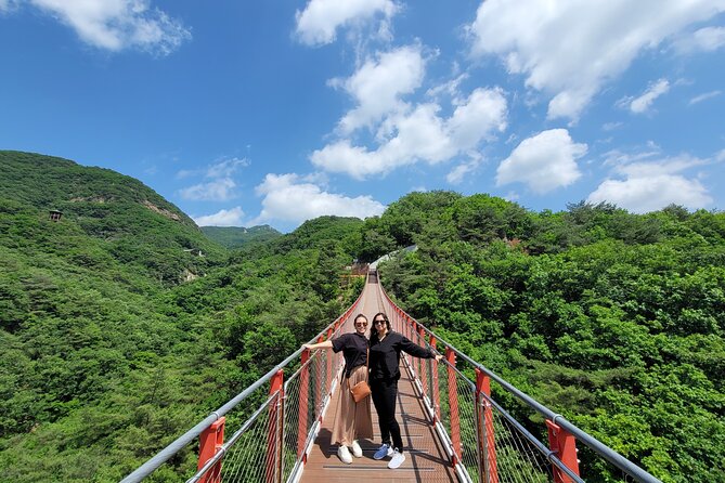 Private DMZ Tour and Suspension Bridge + Korean BBQ - Key points to know before booking