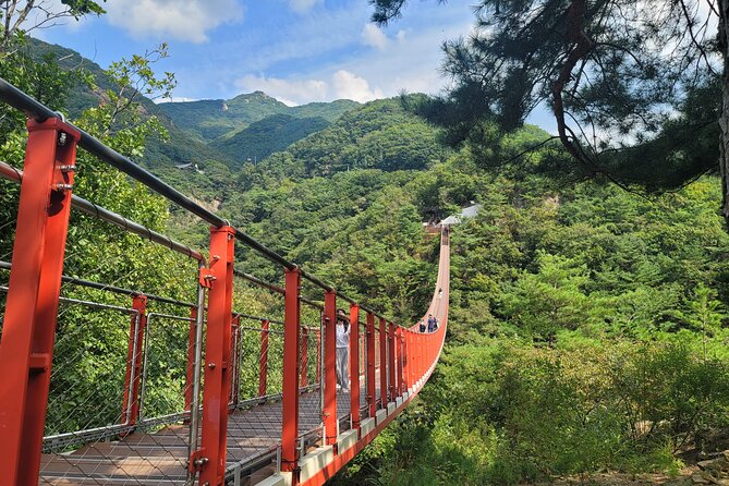 Private DMZ Tour and Suspension Bridge + Korean BBQ - The optional Seoul stops after the DMZ