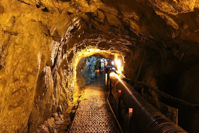Private DMZ Tour (No Shopping): 3rd Tunnel & Suspension Bridge - Why this private Seoul DMZ tour is worth your day
