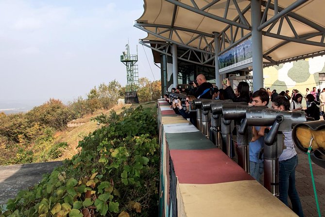 Private DMZ Tour (No Shopping): 3rd Tunnel & Suspension Bridge - Who should book this DMZ experience?