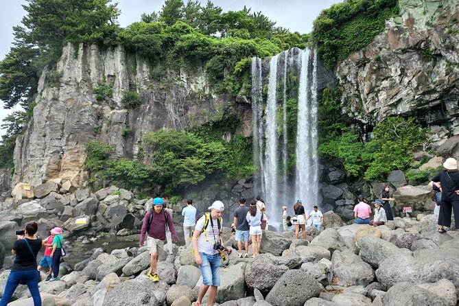 Private Half Day South and West Tour in Jeju Island - O’sulloc Tea Museum and Jeju’s green tea fields