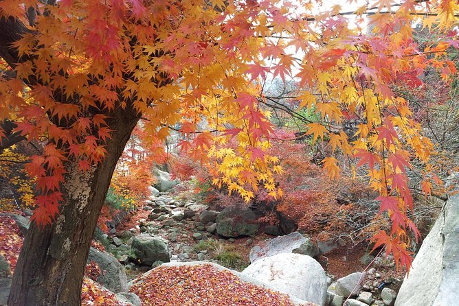 Private Hiking to Bukhansan & Korean Style Spa(Include Lunch) - Is $182 a fair price?