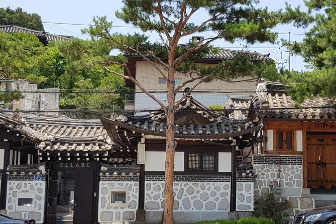 Private Layover Tour from Incheon Airport to Seoul - What your guide adds to the day