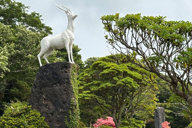 Private Tour in South Jeju including Yacht Cruise - June’s Guiding Style and the Private Format