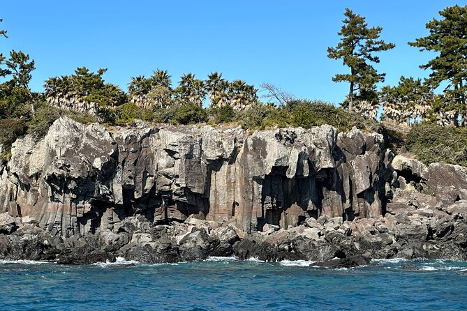 Private Tour in South Jeju including Yacht Cruise - The Yacht Cruise Along Jeju’s Southern Coast