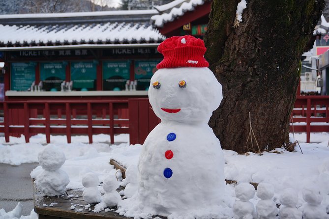 Private Tour: Nami Island& (Alpaca World 'or' Morning Calm)&Lunch - Why the private format matters