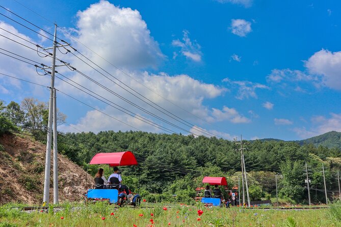 (Private tour) Nami Island + Railbike + Garden of morning calm - Why this countryside trio works