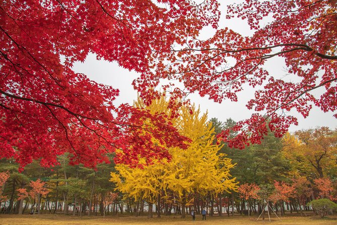 (Private tour) Nami Island + Railbike + Garden of morning calm - Gangchon Rail Park: two hours beside river and mountains