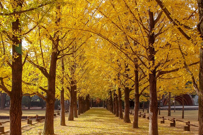 (Private tour) Nami Island + Railbike + Garden of morning calm - Is $260 per person a fair price?