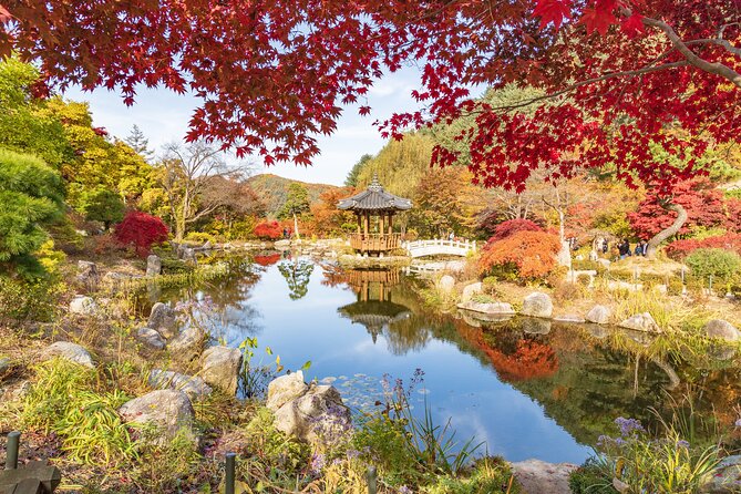 (Private tour) Nami Island + Railbike + Garden of morning calm - Nami Island: woods, walking, and free time
