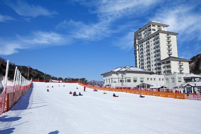 [Private Tour] Nami Island & Snow Viewing and Snow sled (More Members Less Cost) - Private transport and the value of hotel pickup
