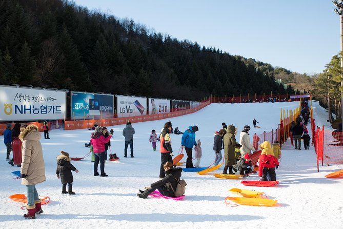 [Private Tour] Nami Island & Snow Viewing and Snow sled (More Members Less Cost) - How the $224 price makes sense