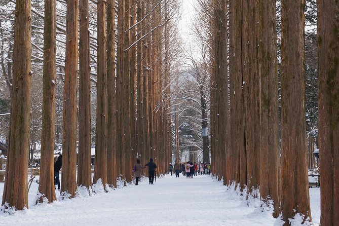 [Private Tour] Nami Island & Snow Viewing and Snow sled (More Members Less Cost) - The cold-weather details that matter most
