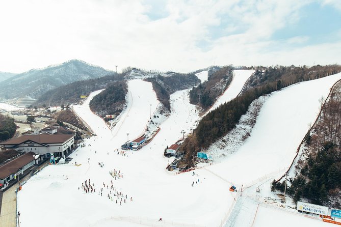 [Private Tour] Nami Island & Snow Viewing and Snow sled (More Members Less Cost) - Who should book this private winter outing?