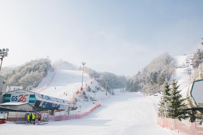 [Private Tour] Nami Island & Snow Viewing and Snow sled (More Members Less Cost) - Booking details worth checking before you go