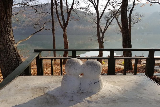 Private Tour Nami Island with Petite France 'and/or' The Garden of Morning Calm - Lunch adds practical value