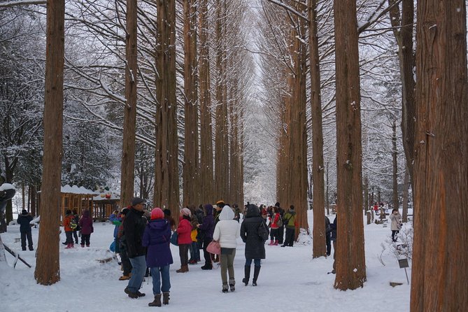 Private Tour Nami Island with Petite France 'and/or' The Garden of Morning Calm - The Garden of Morning Calm rewards an early visit