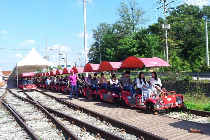 Private Tour Rail Bike & Nami Island & (Petite France or Garden of Morning Calm) - Who will enjoy this private day trip most
