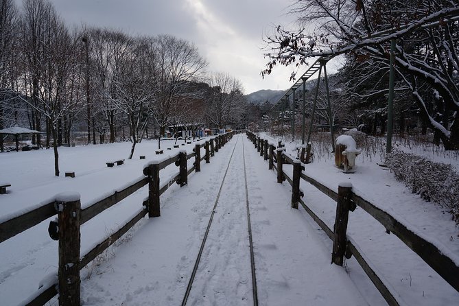 Private Tour Rail Bike & Nami Island & (Petite France or Garden of Morning Calm) - Should you book it?
