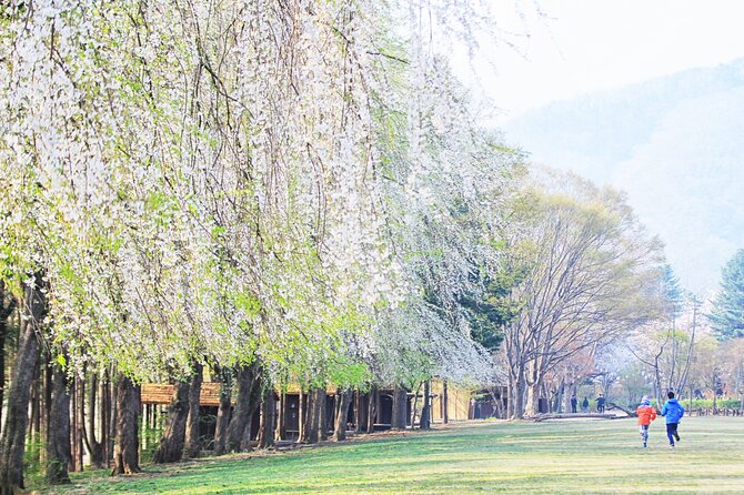 Private Tour to Alpaca world &Nami Island& Railbike with Tickets - What the $241.36 price really covers