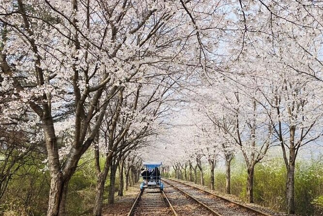 Private Tour to Alpaca world &Nami Island& Railbike with Tickets - The final call on this private Seoul tour