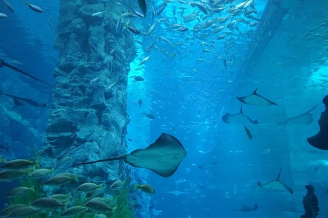 Private Tour to Lotte Tower, Aquarium and Lotte world Theme park - Lotte World: five hours of rides and indoor fun