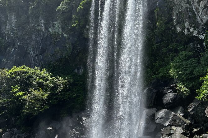 Seogwipo(the southern city of Jeju) Art Museum Walking Tour - Key points to know before booking