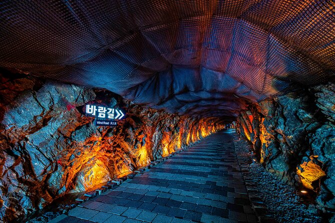 Seohaerang Cable Car, Gwangmyeong Cave & Suwon fr Seoul(EG Tour) - What the $55.62 price really covers