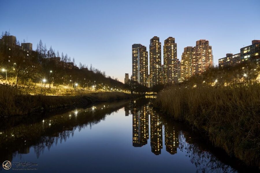 Seoul: 4-Hour Gangnam Walking Tour With Customized Itinerary - Meeting your guide and setting the route