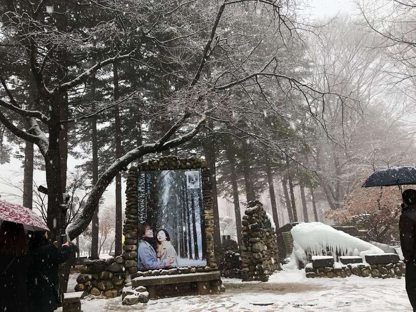 Seoul: Alpaca, Nami, Morning Calm or Eobi (+Rail Bike) - Eobi Ice Valley in winter