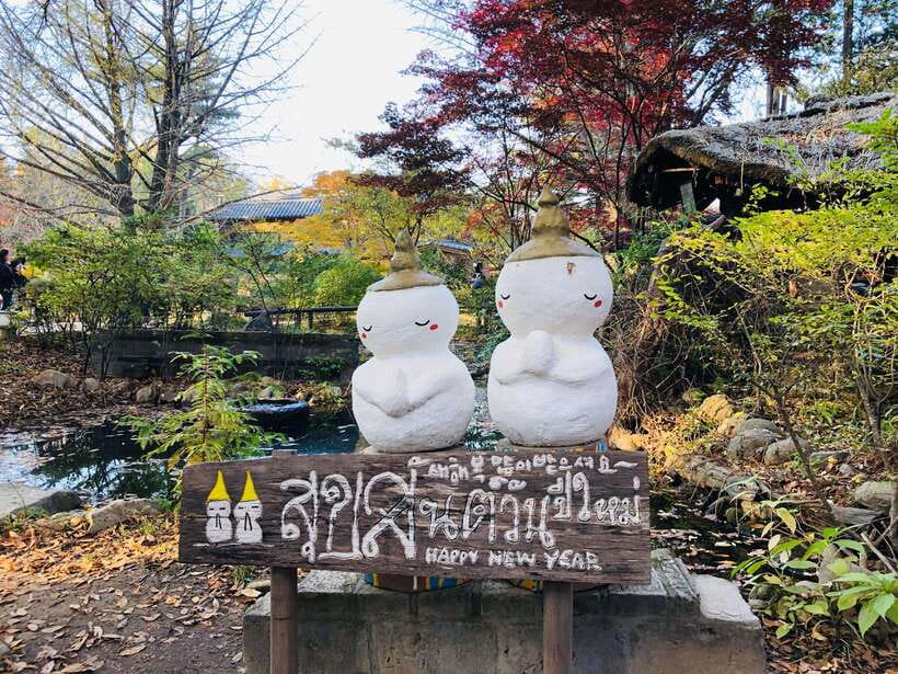 Seoul: Alpaca, Nami, Morning Calm or Eobi (+Rail Bike) - What to bring and who should book